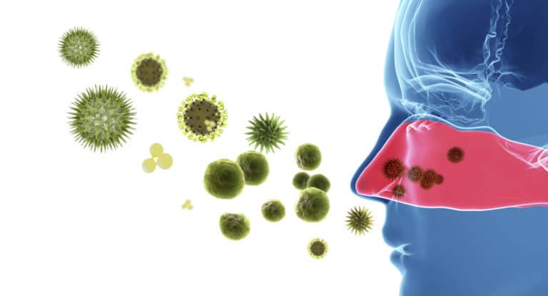 illustrated photo of allergens in the air being breathed in through the nose