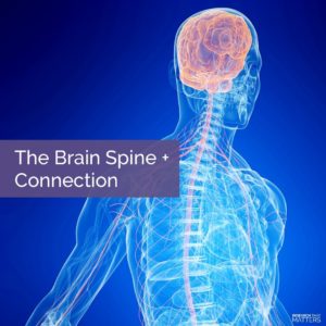 The Brain - Spine Connection
