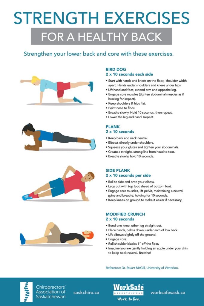 Diagram for common back exercises for a healthy back: does chiropractor help with muscle pain? 